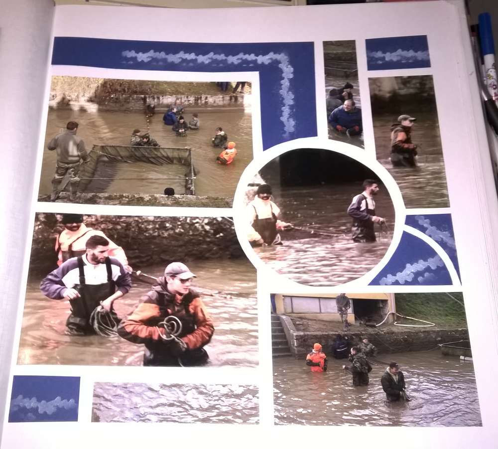 les poissons sont dans le filet