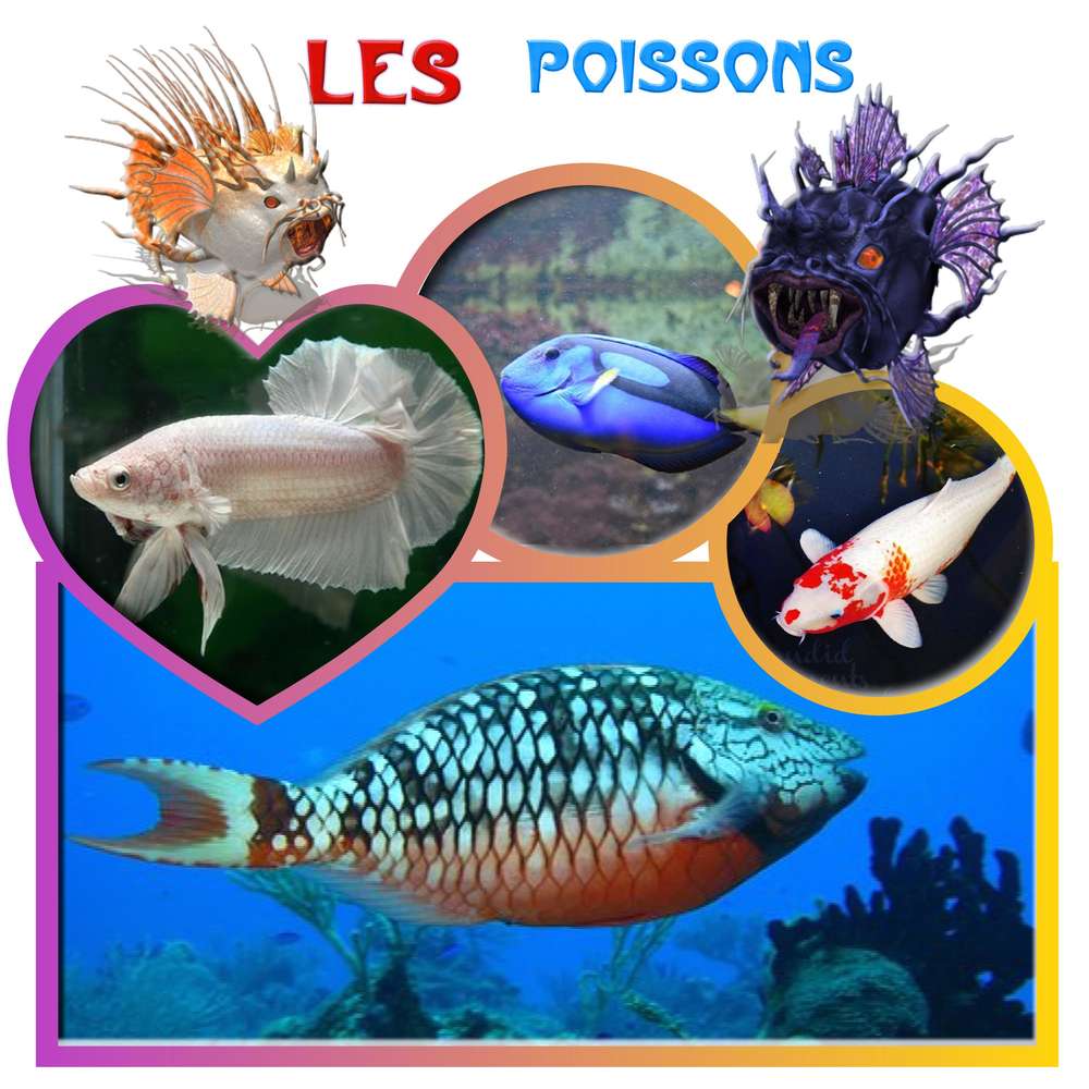 les poissons
