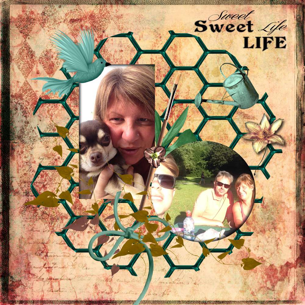 Les Retrouvailles ...