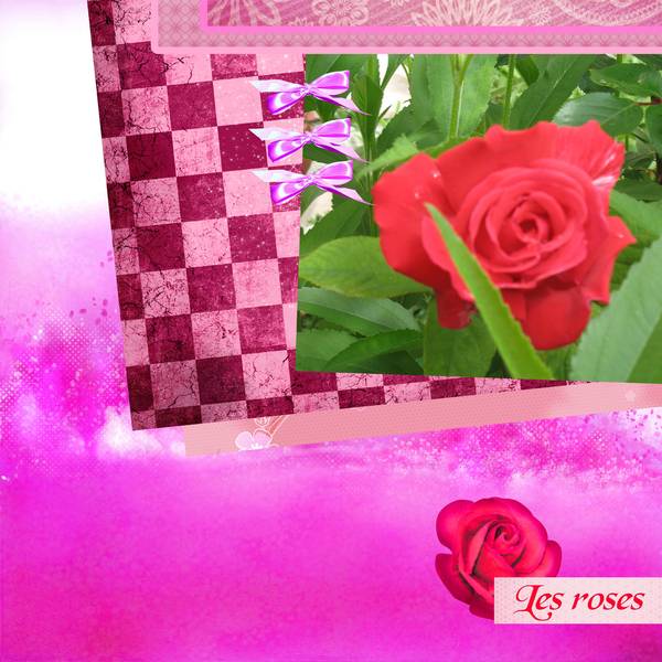 Les roses  (défi laurette)