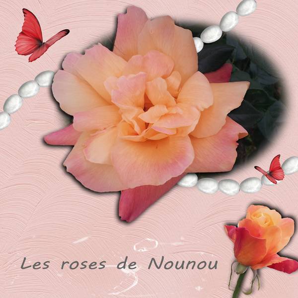 les roses de nounou