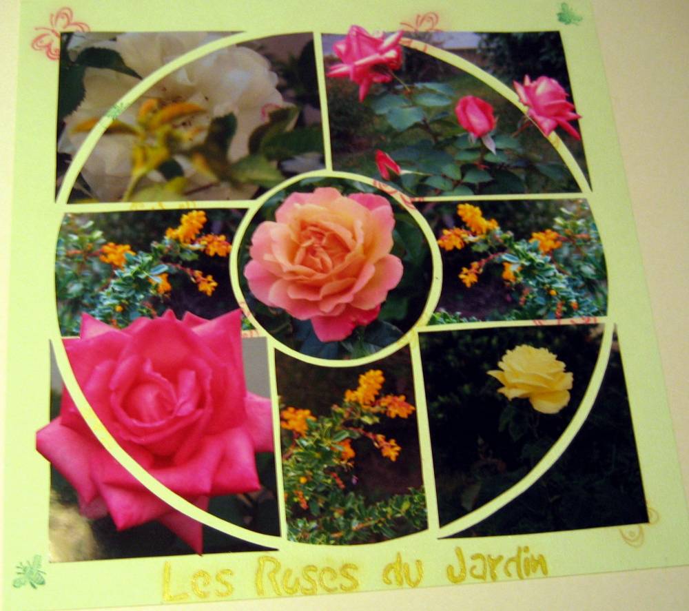 les roses du jardin