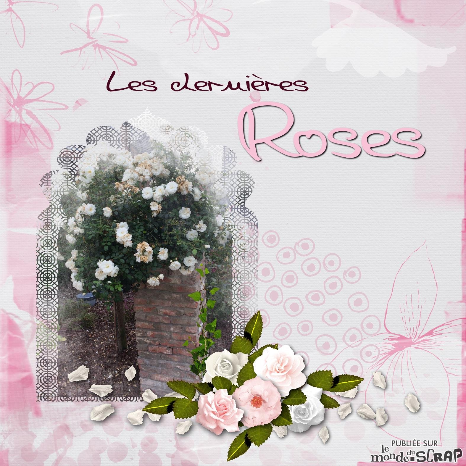 les roses.jpg