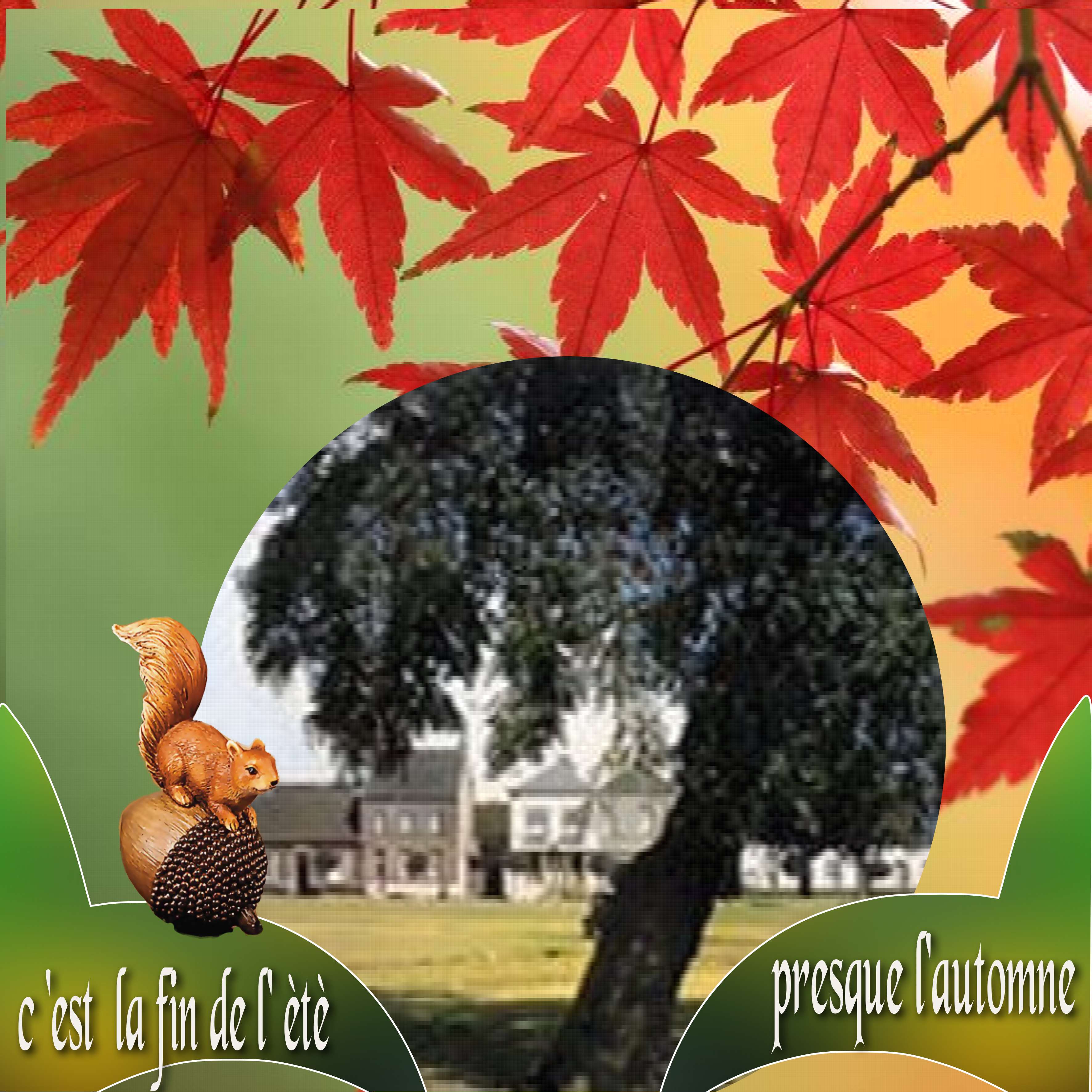 les  saisons a ESCAUDAIN   revue.jpg