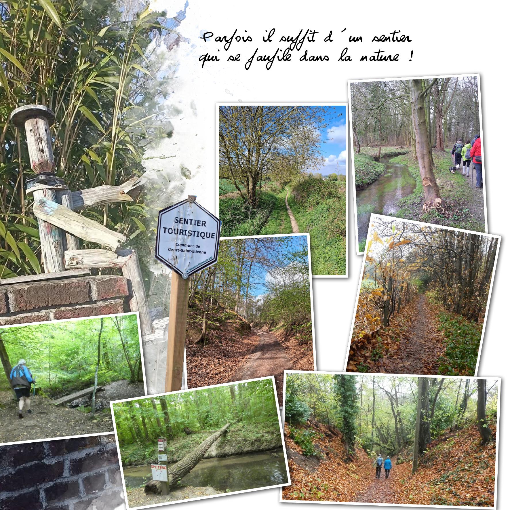 les sentiers.jpg