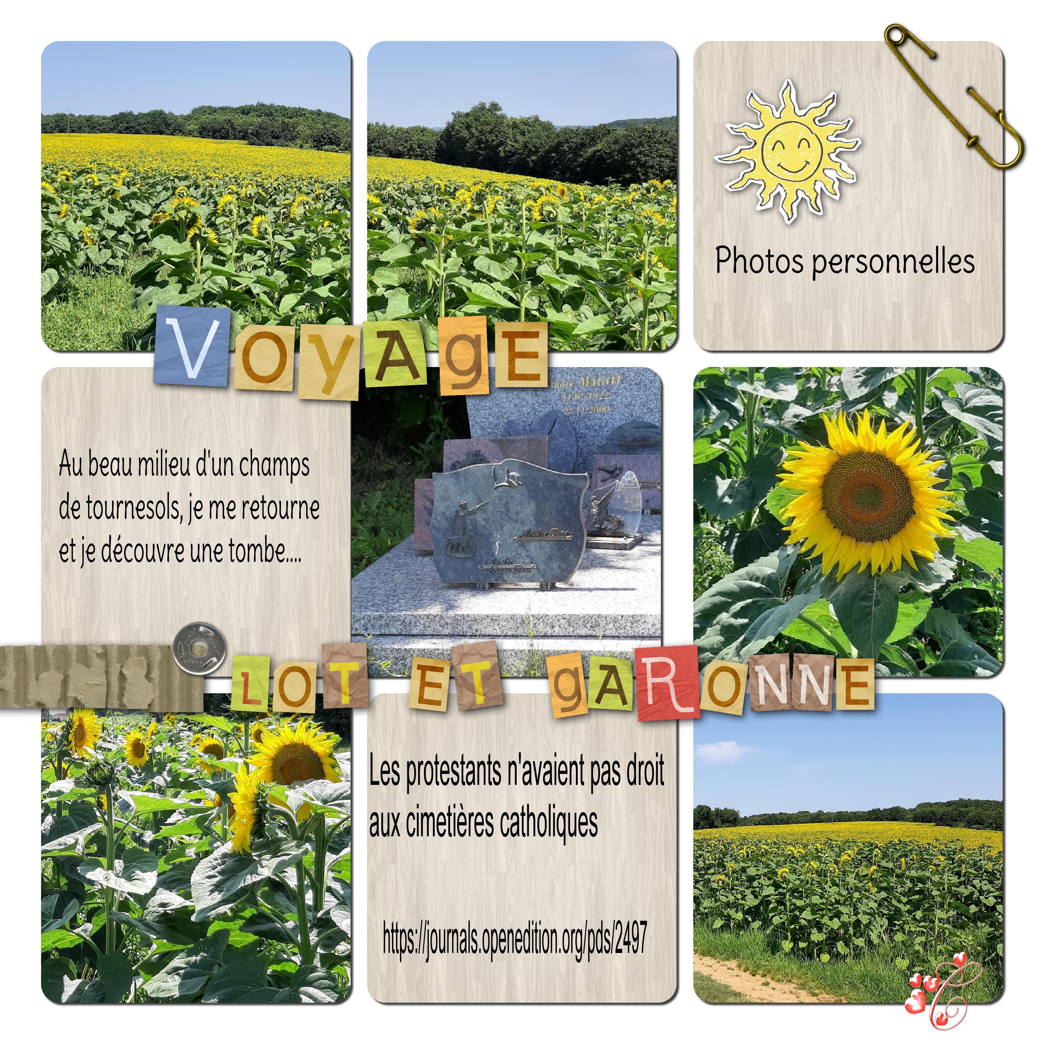 les soleils. KIKOU66 Christine jpg