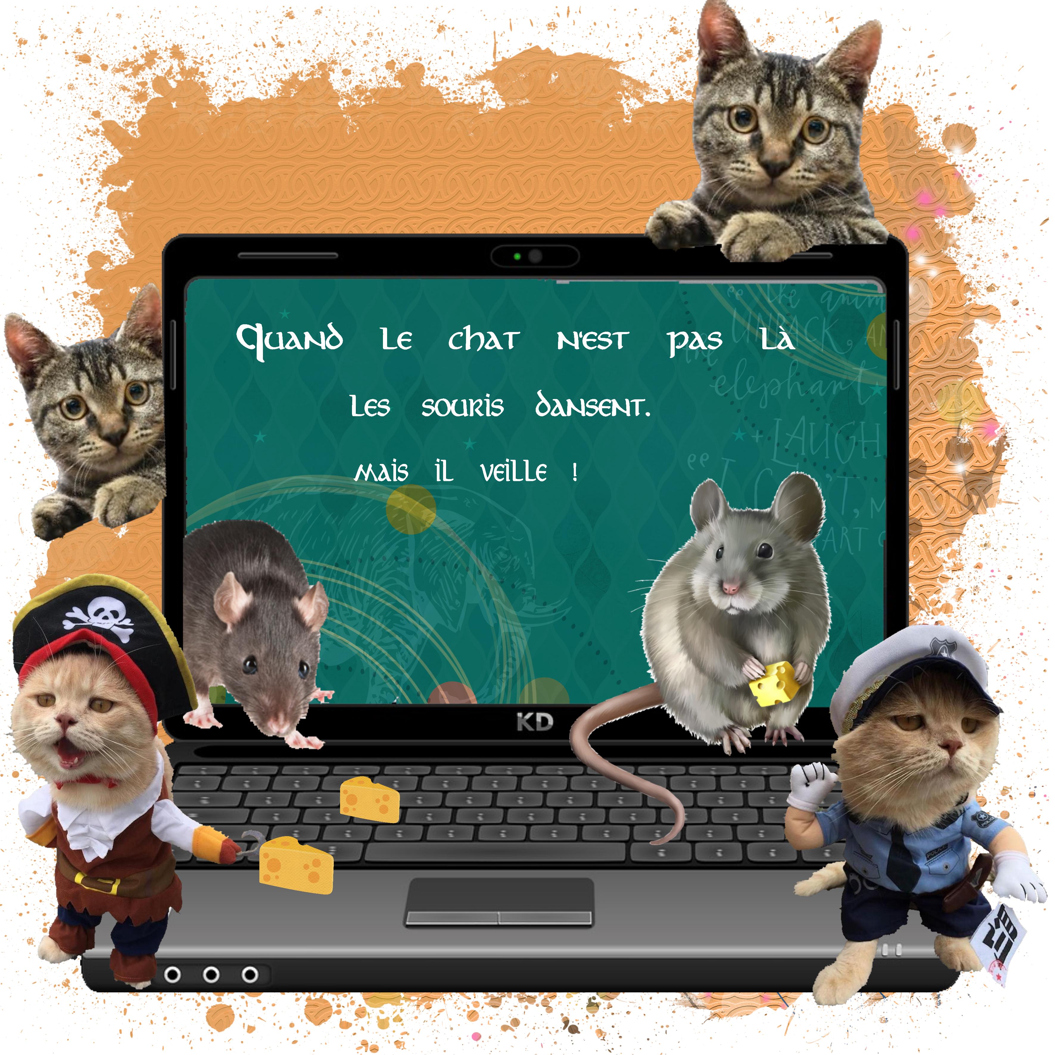 les souris internaute.jpg