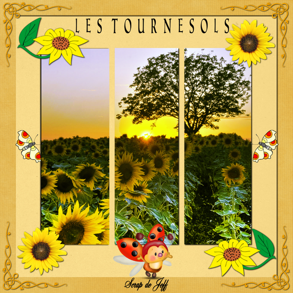 Les tournesols