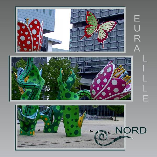 LES TULIPES de SHANGRI-LA - EURALILLE - NORD