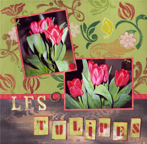 Les Tulipes