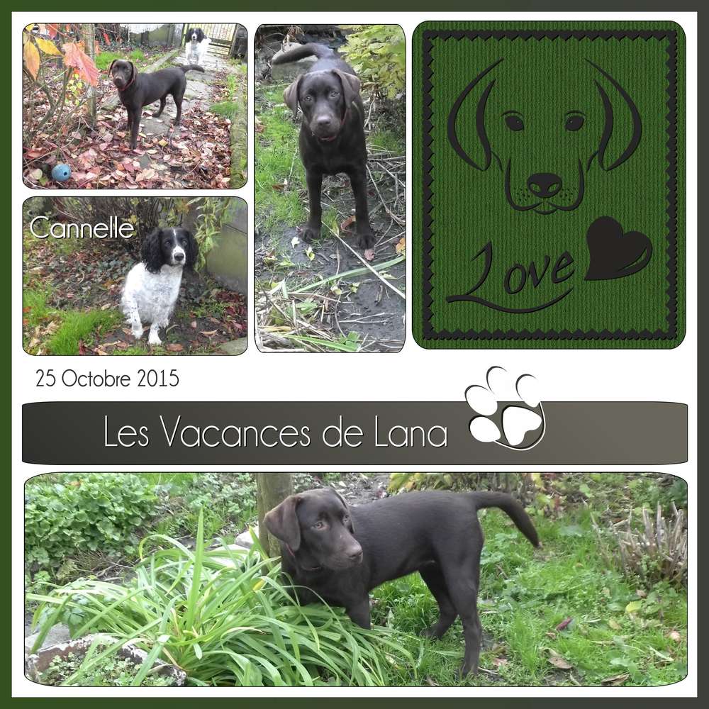 LES VACANCES DE LANA