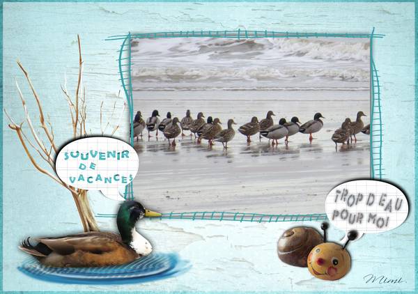 les vacances du canard !