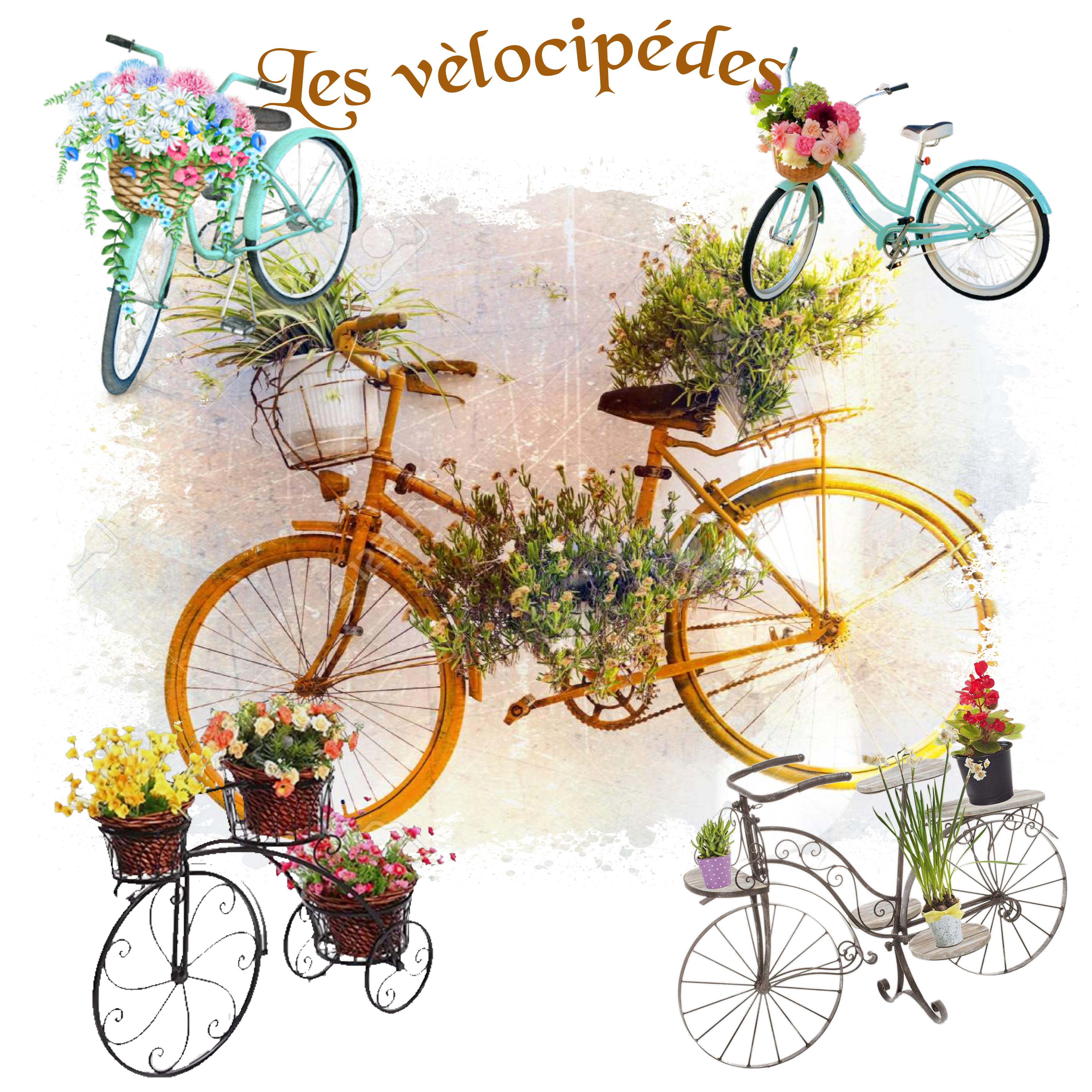 les velocipédes.jpg