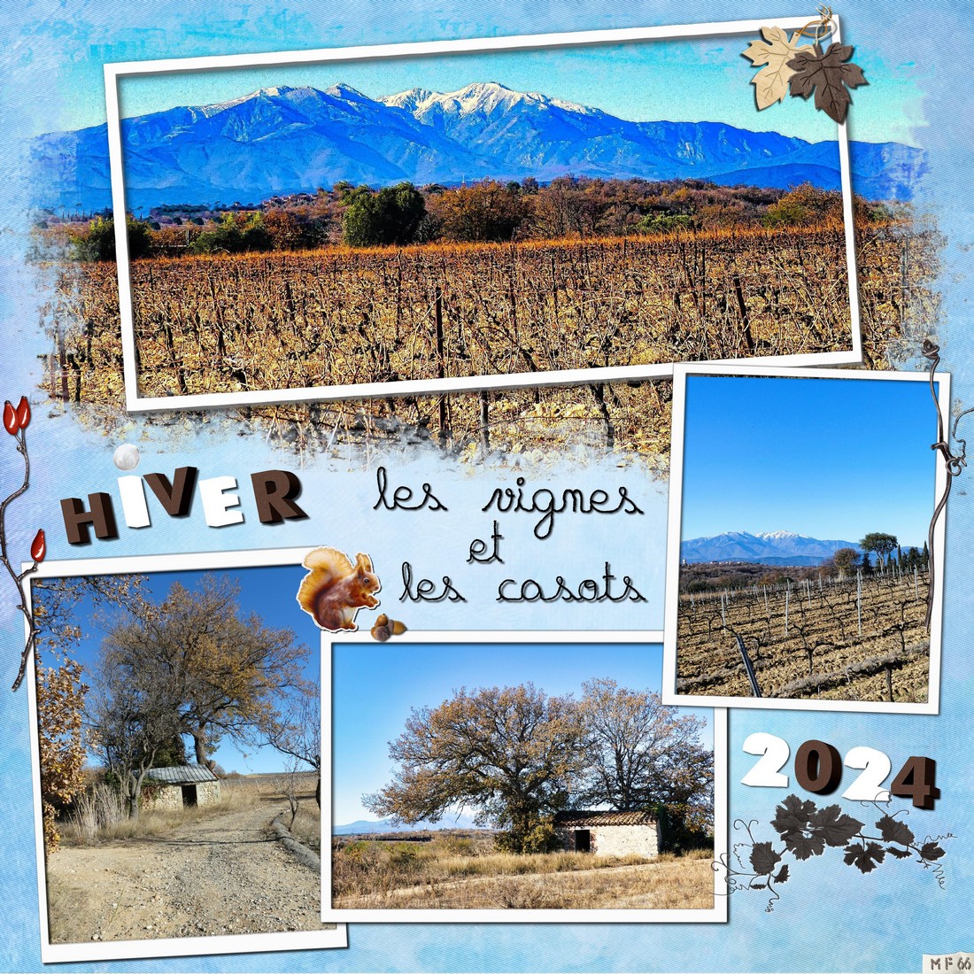 les vignes et casots 18.01.2024.jpg