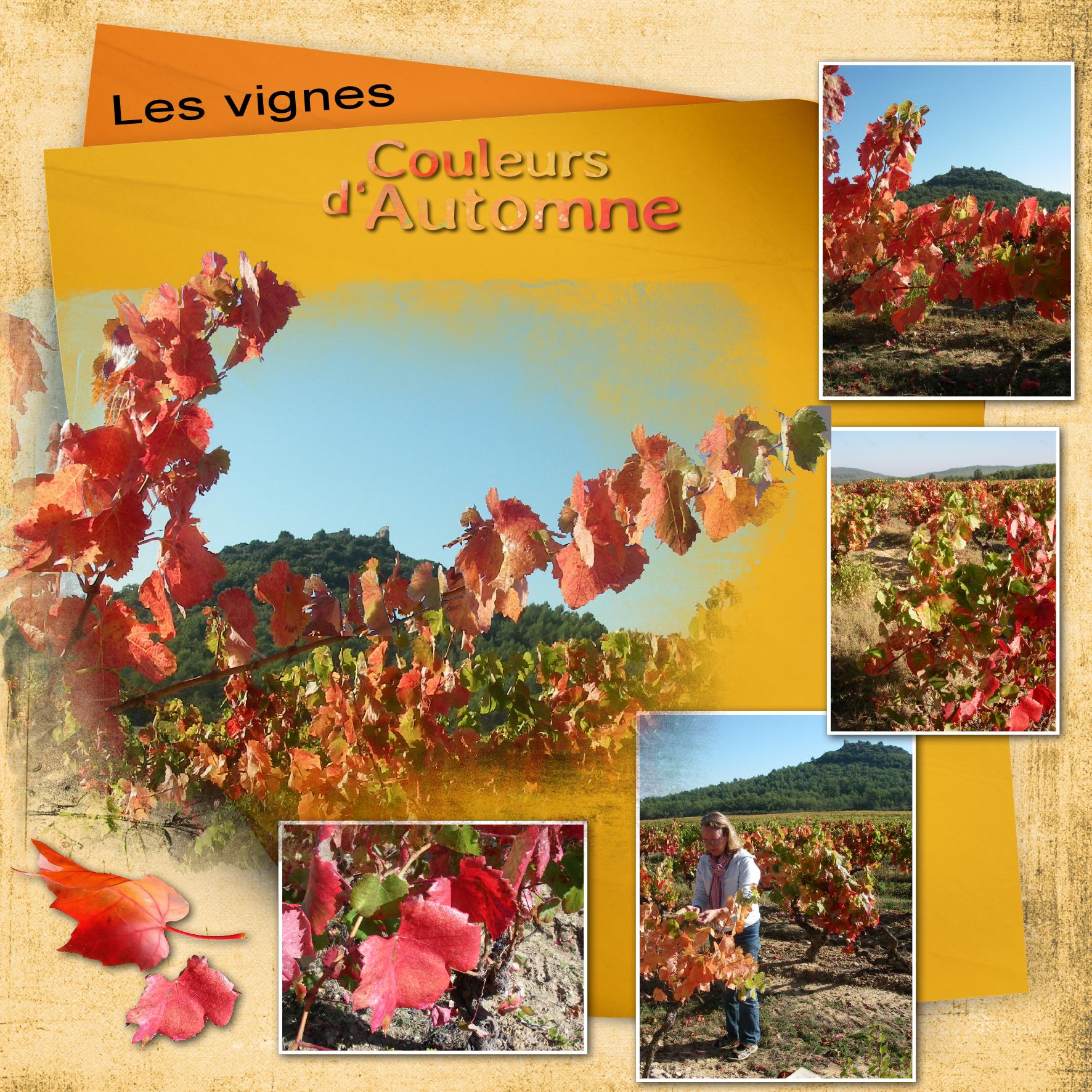 les vignes.jpg