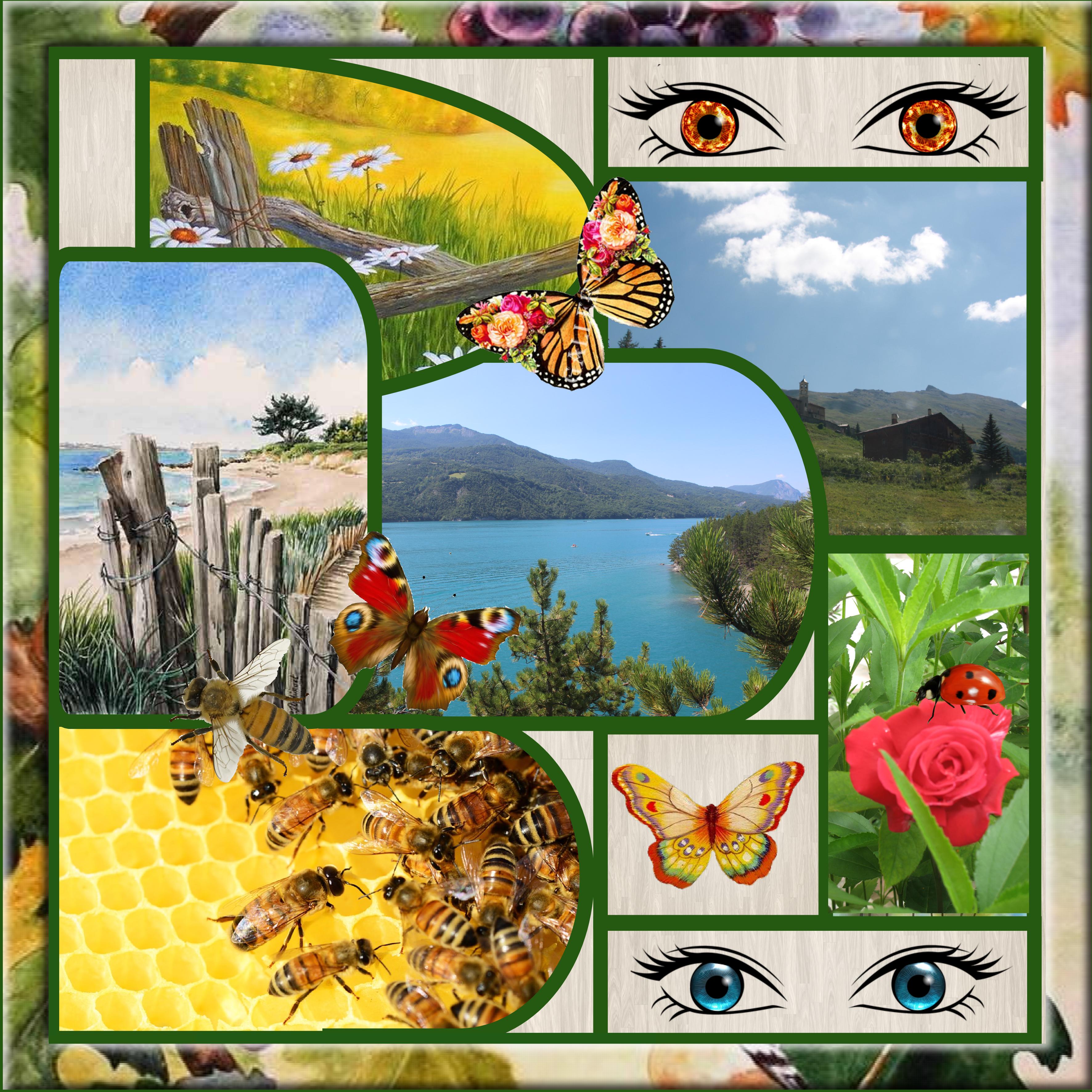 les yeux de la nature.jpg