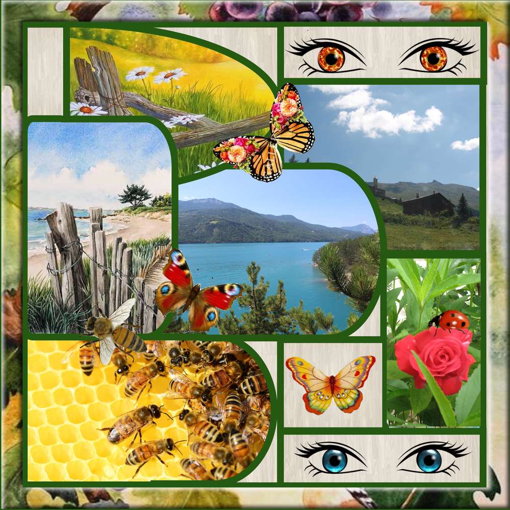 les yeux de la nature