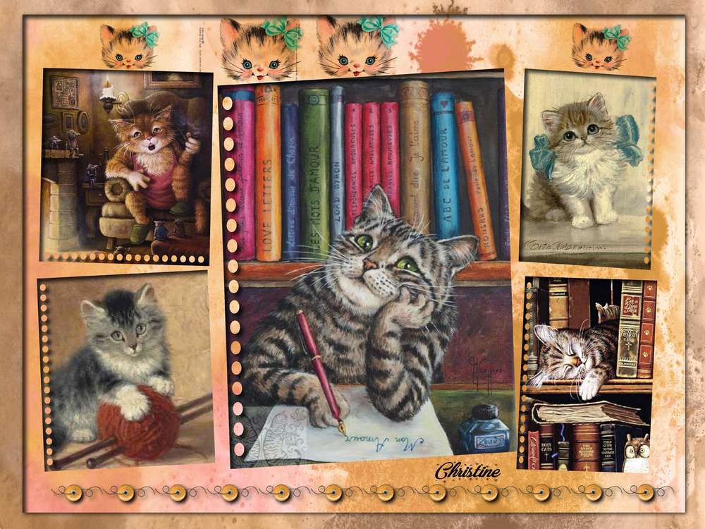 les_5_chats_avec_encadrement