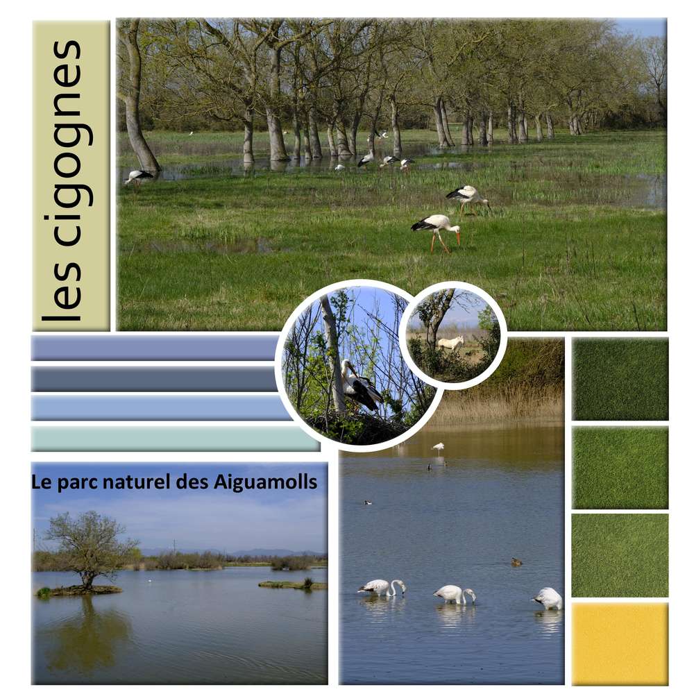 les_aiguamolls