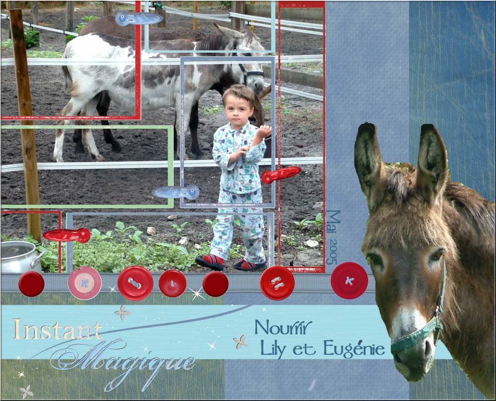 Les_Anes