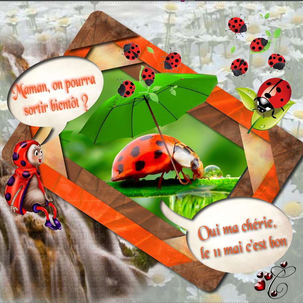 les_coccinelles_en_confinement