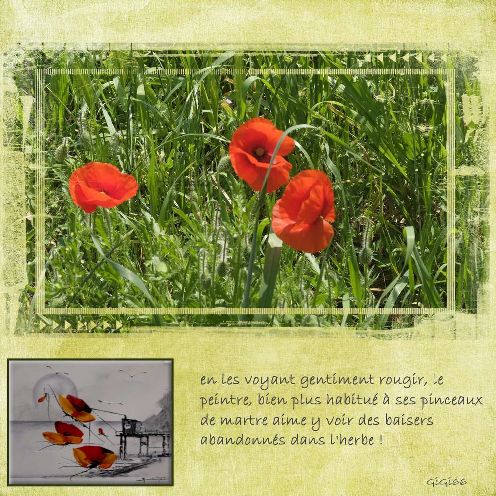 les_coquelicots-peintre_