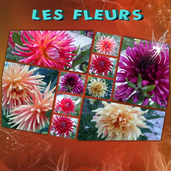 les_fleurs1