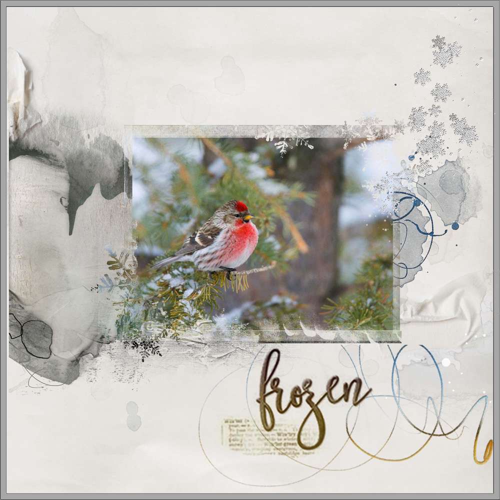 Les_oiseaux_et_le_froid___