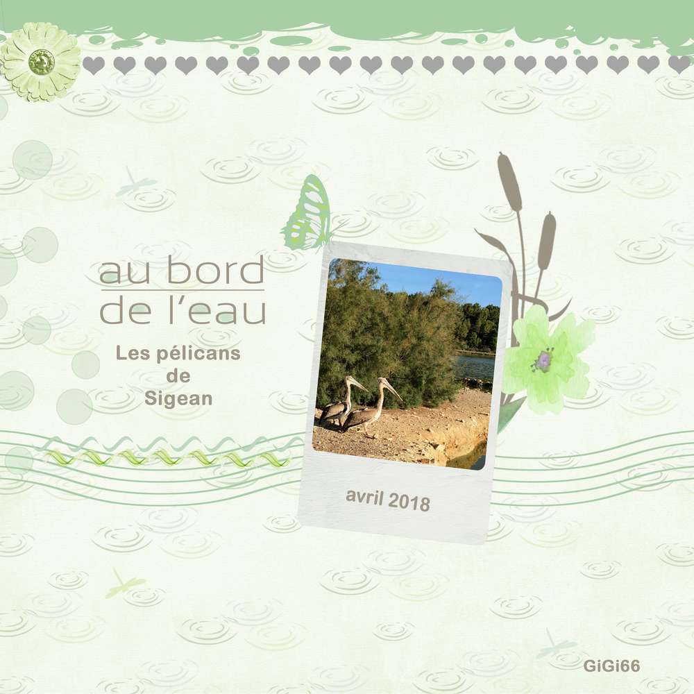 les_p__licans-scraplift_juin_