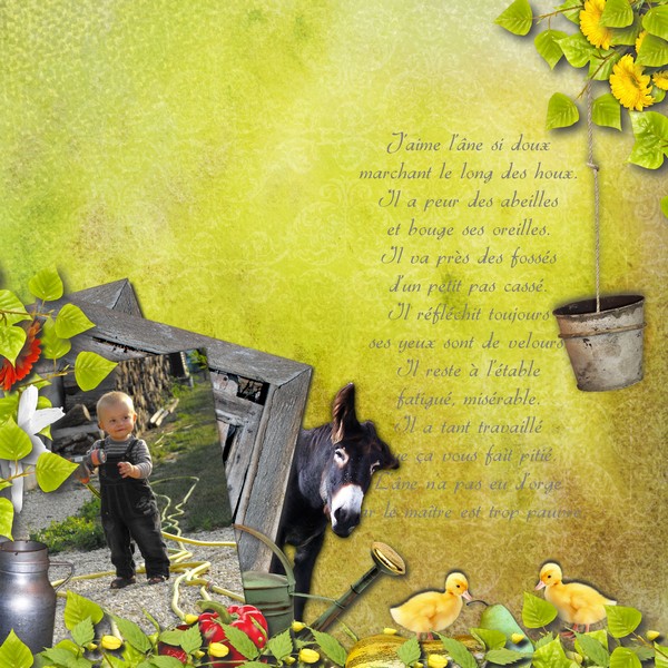 Lessio à la ferme de Mélie.D