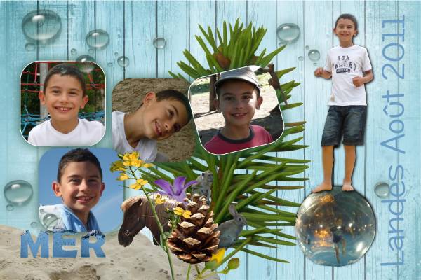 L'été dans les Landes