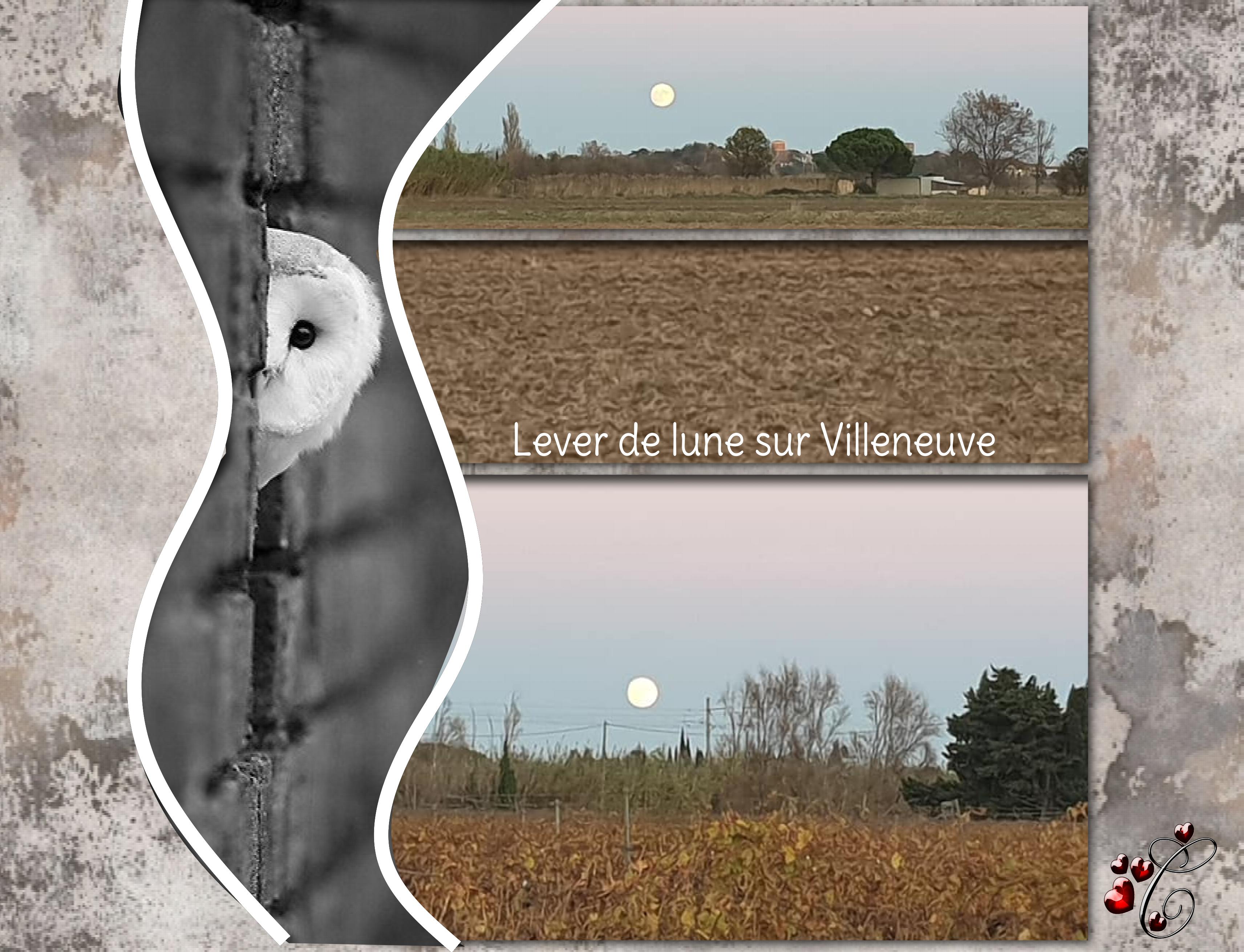 lever de lune.jpg
