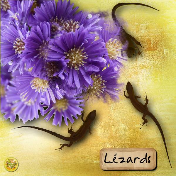 Lézards