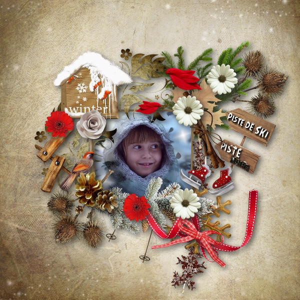 L'hiver à la maison