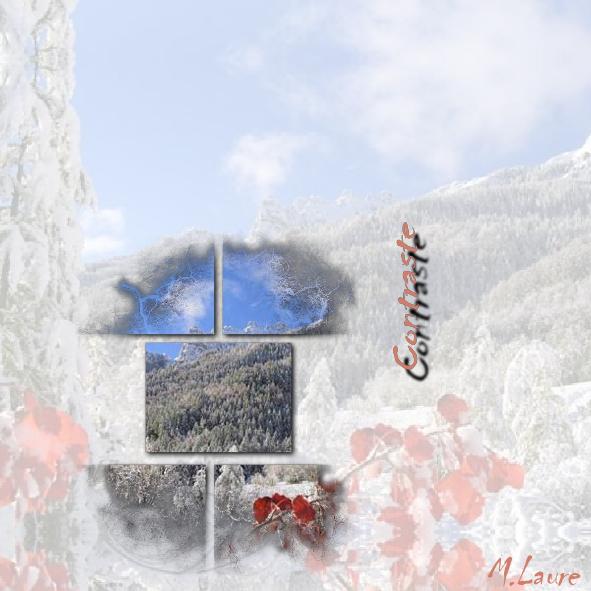 Lhiver est bien là .... partout du blanc ... et pourtant