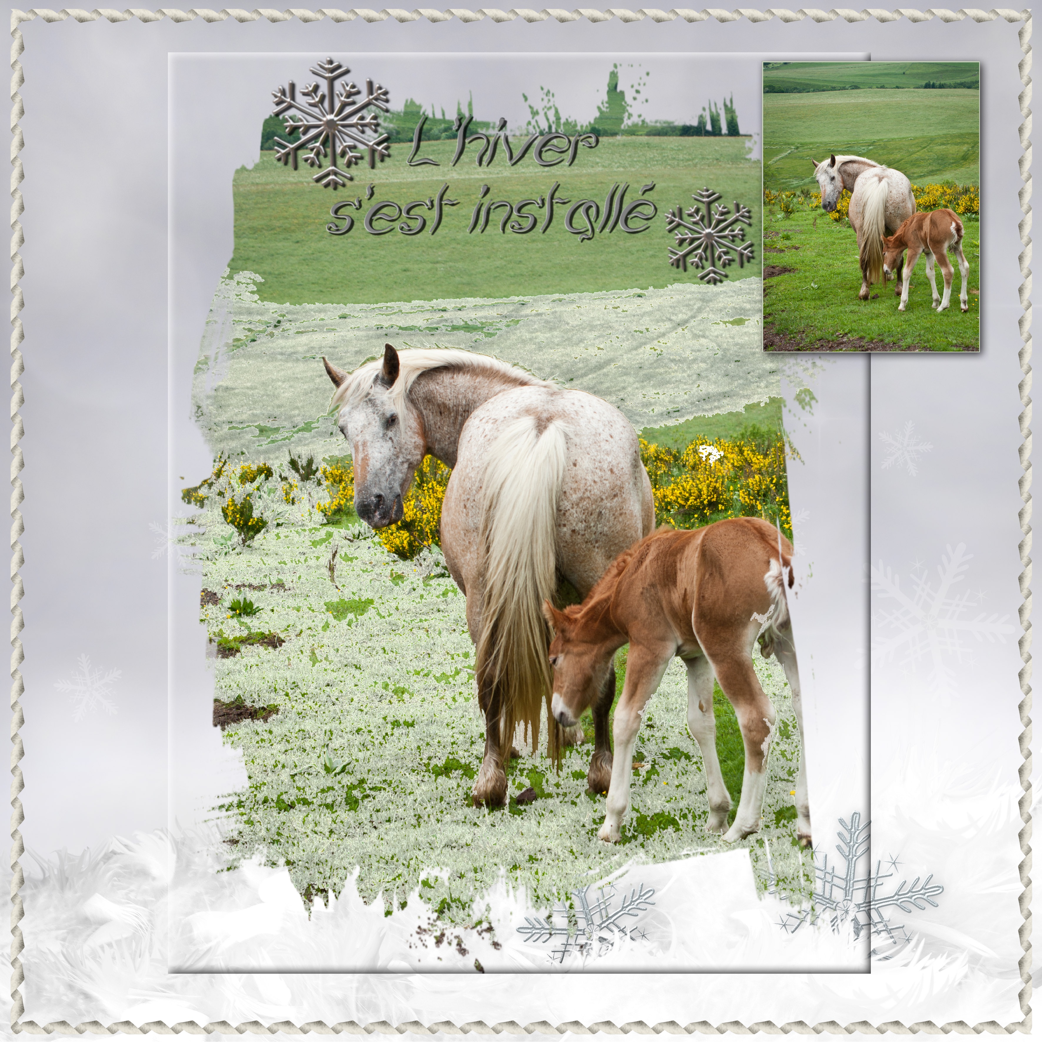 L'hiver s'est installé.jpg