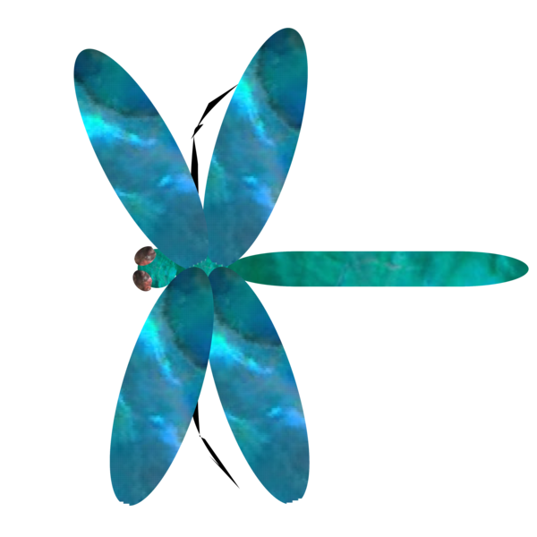 Libellule en png