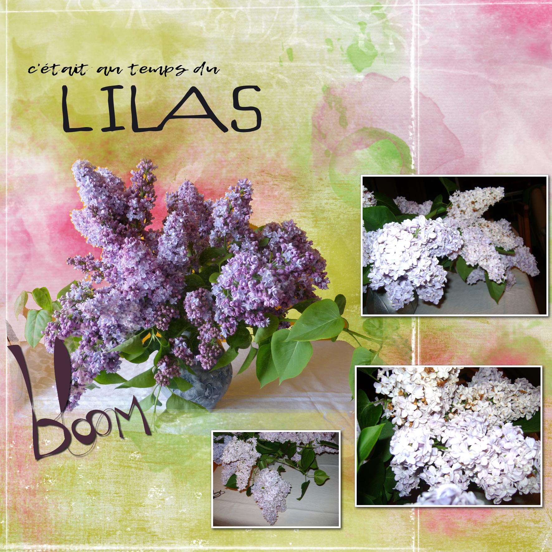 lilas.jpg