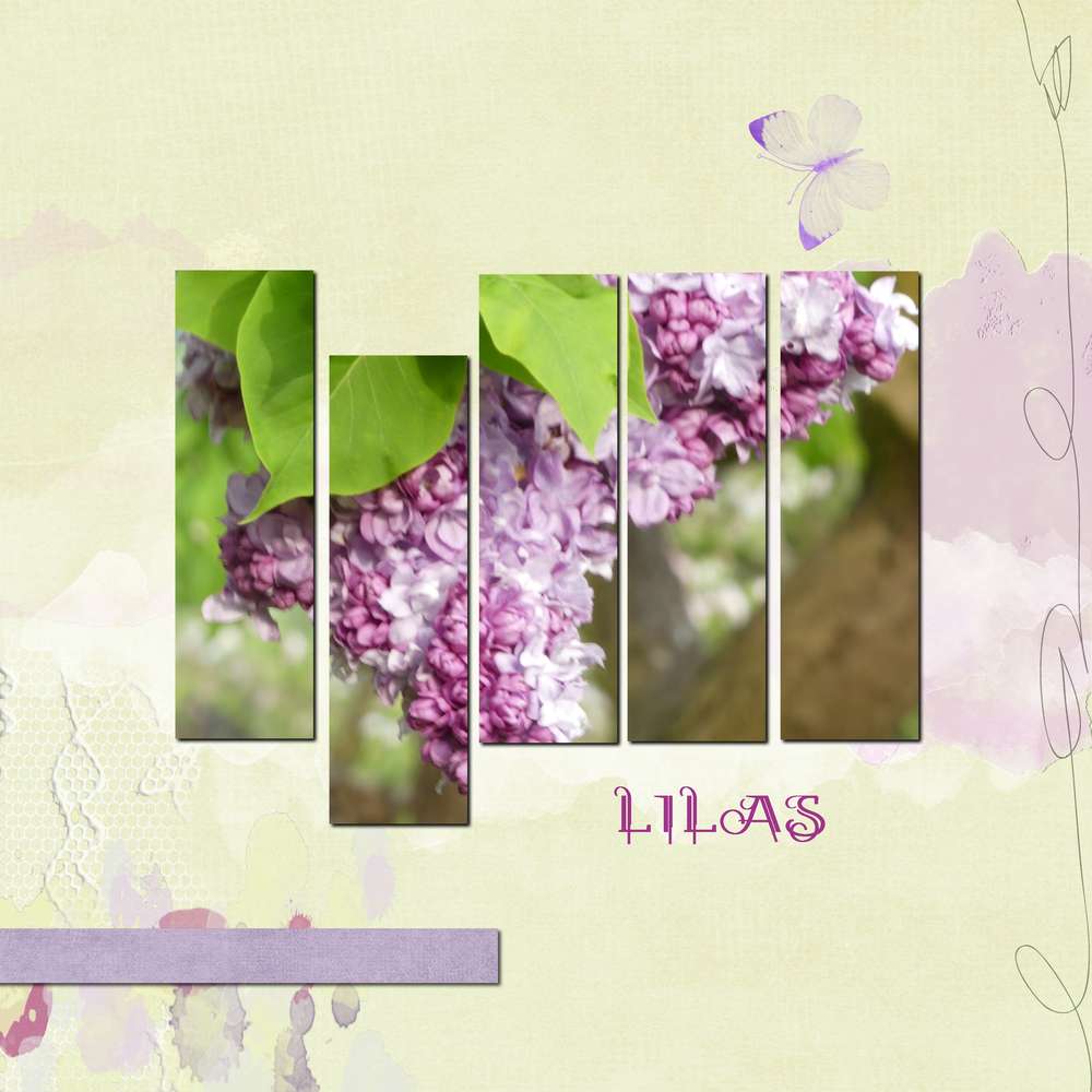 Lilas