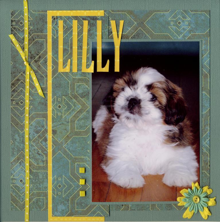 Lilly