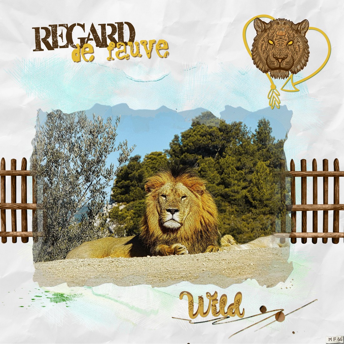 Lion réserve de Sigean septembre 2017.jpg