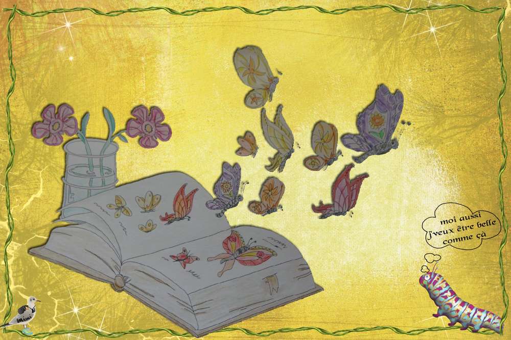 livre papillons