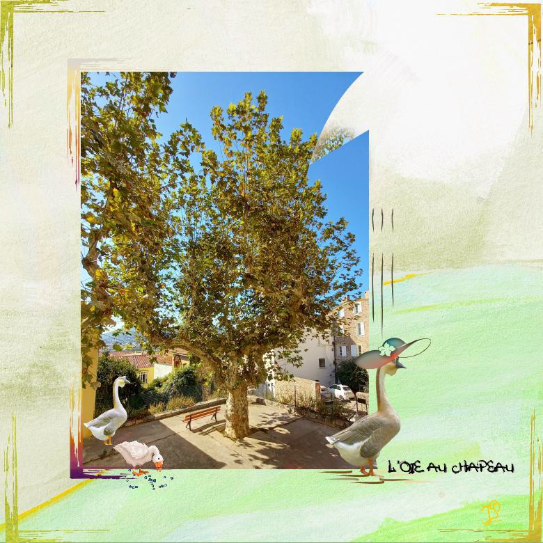 l'oie au chapeau.jpg