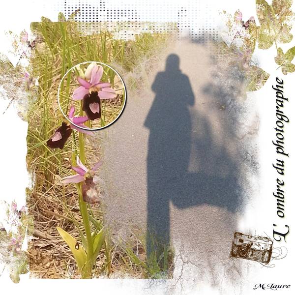 L'ombre du photographe