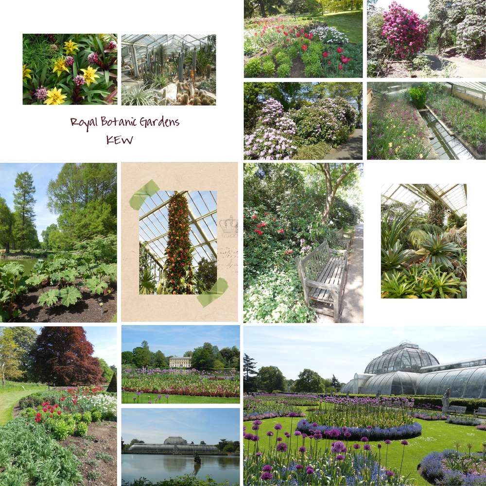 Londres_mai_2017__4_