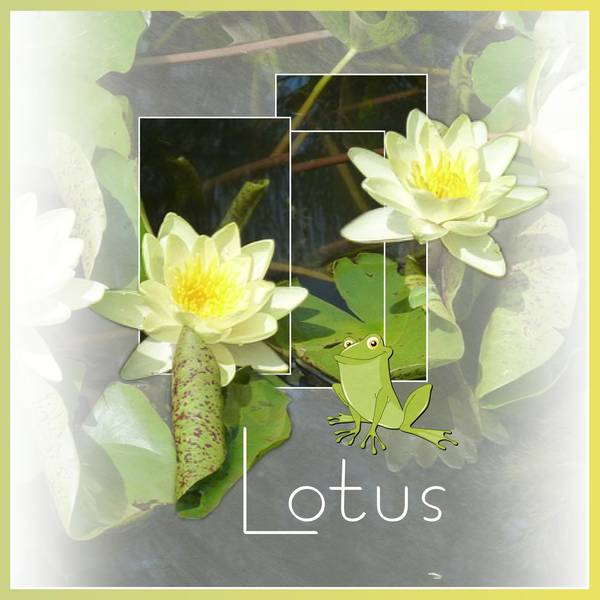 LOTUS