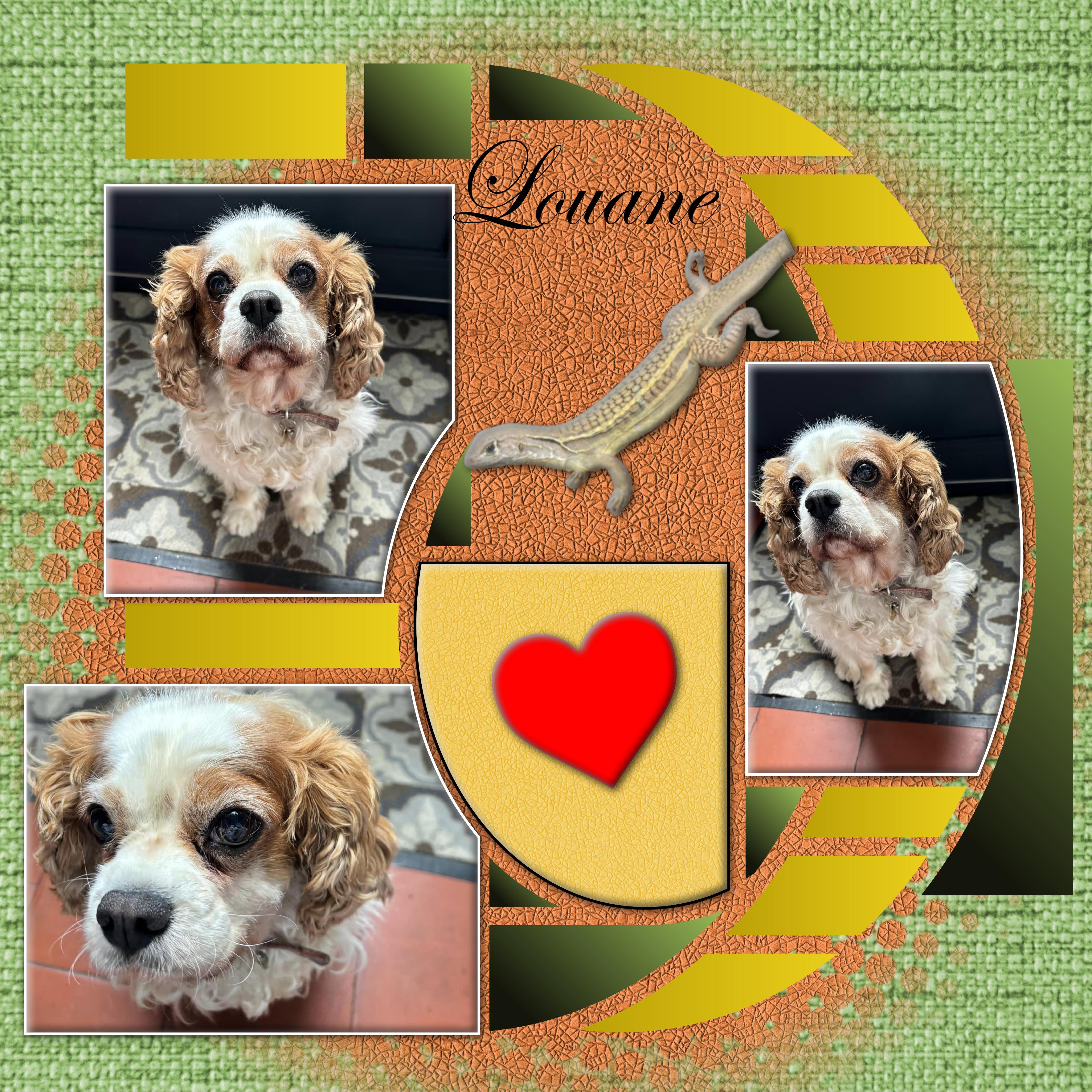 Louane et le lezard.jpg