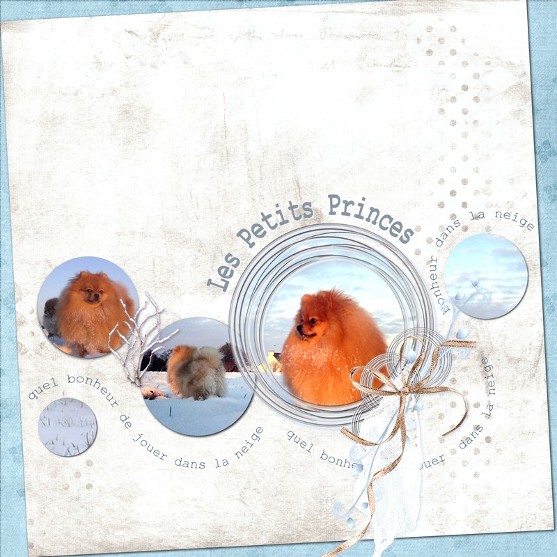 Loulous de Poméranie!