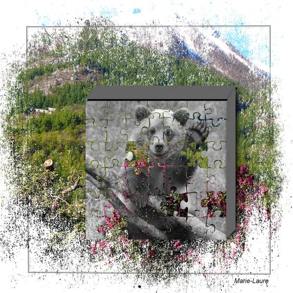 L'ourson Noir et blanc .....