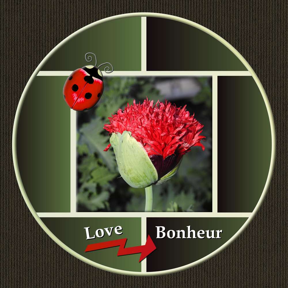LOVE BONHEUR